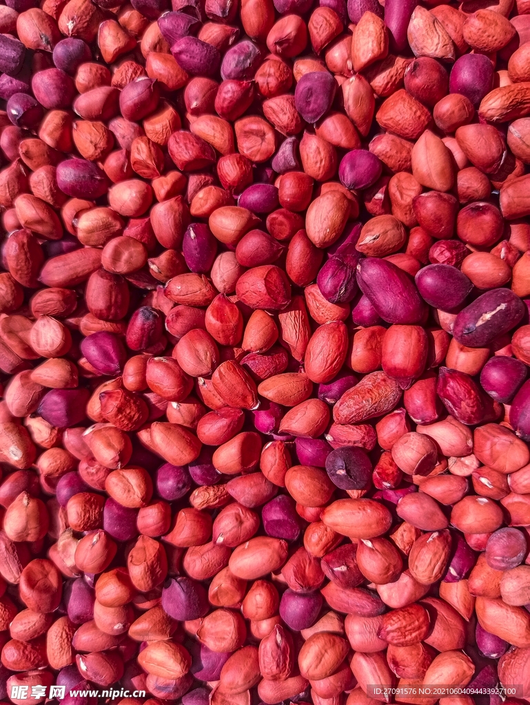精美粮食摄影图片豆类