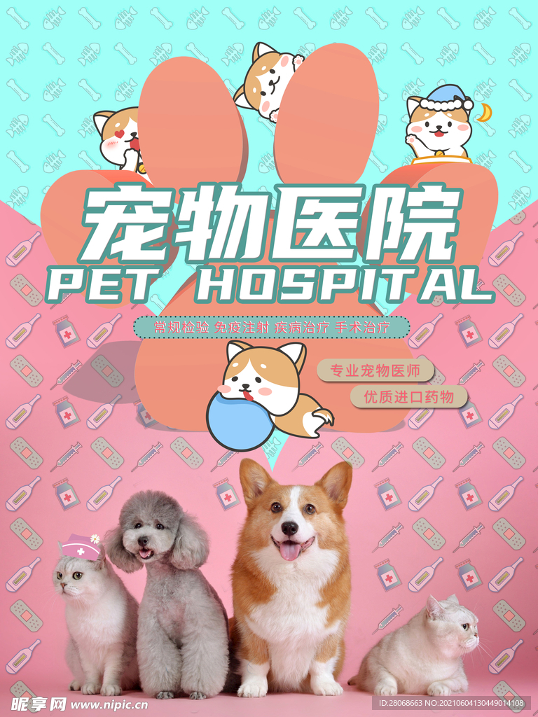 宠物