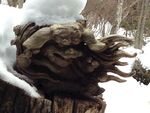 雪中的木雕