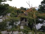 水畔