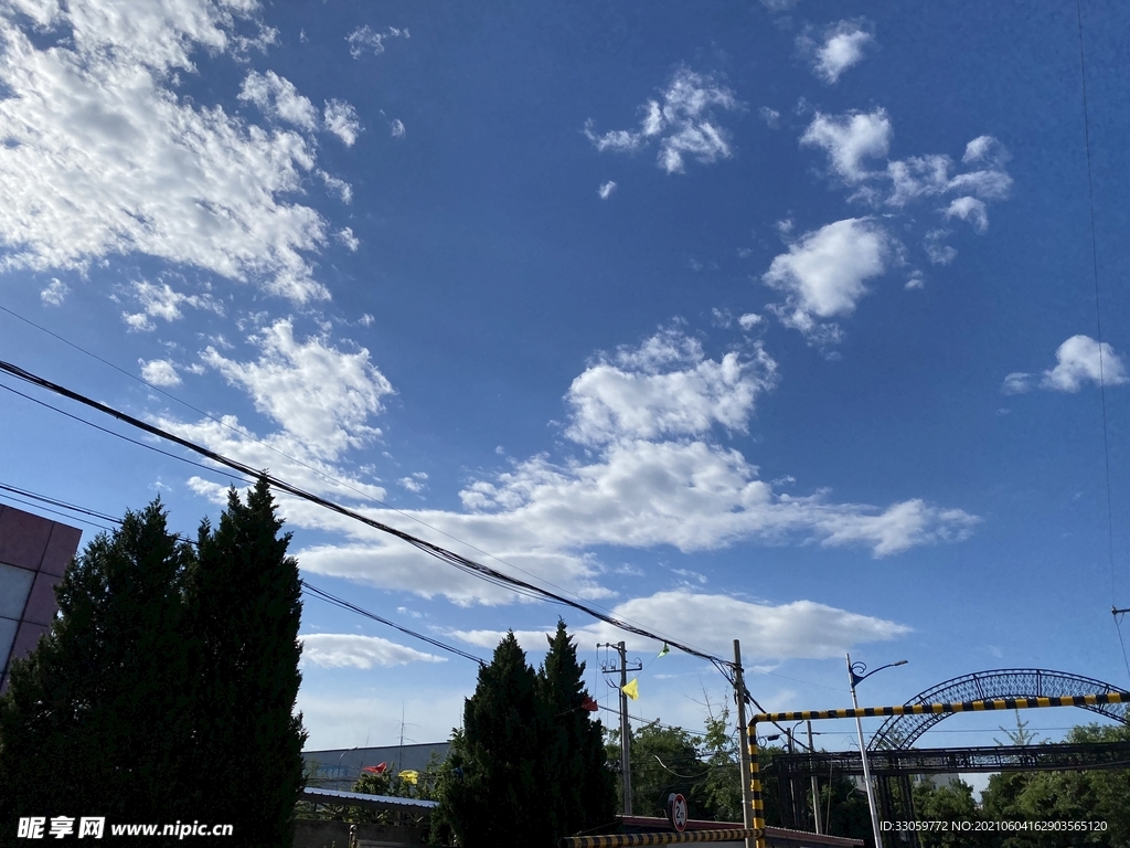有生机的天空
