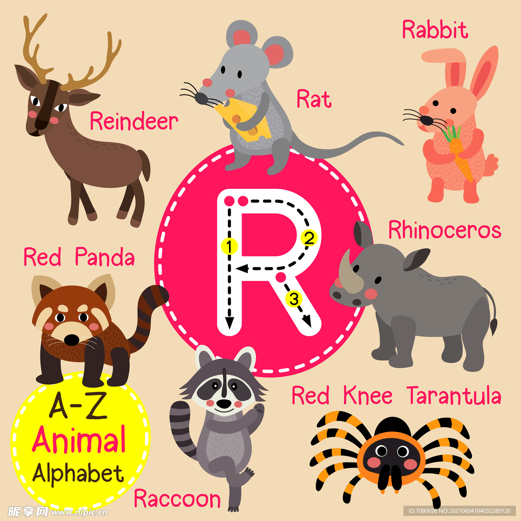 动物字母卡