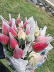 玫瑰花
