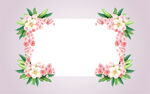花边框
