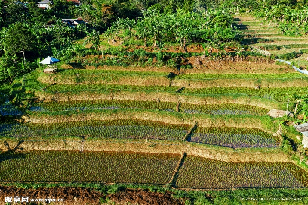 梯田风光美景