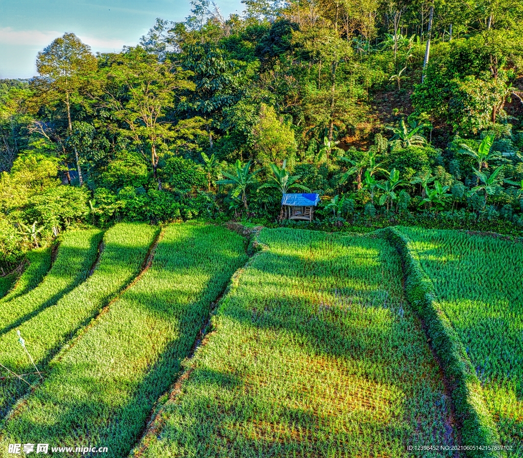 梯田风光美景