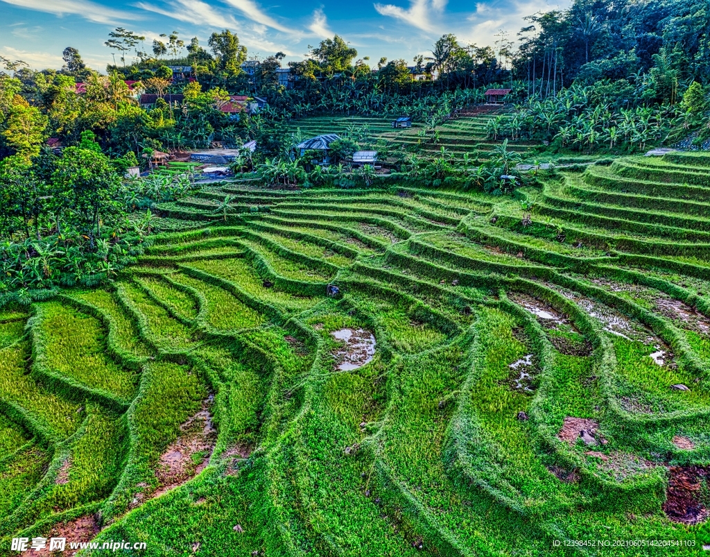 梯田风光美景