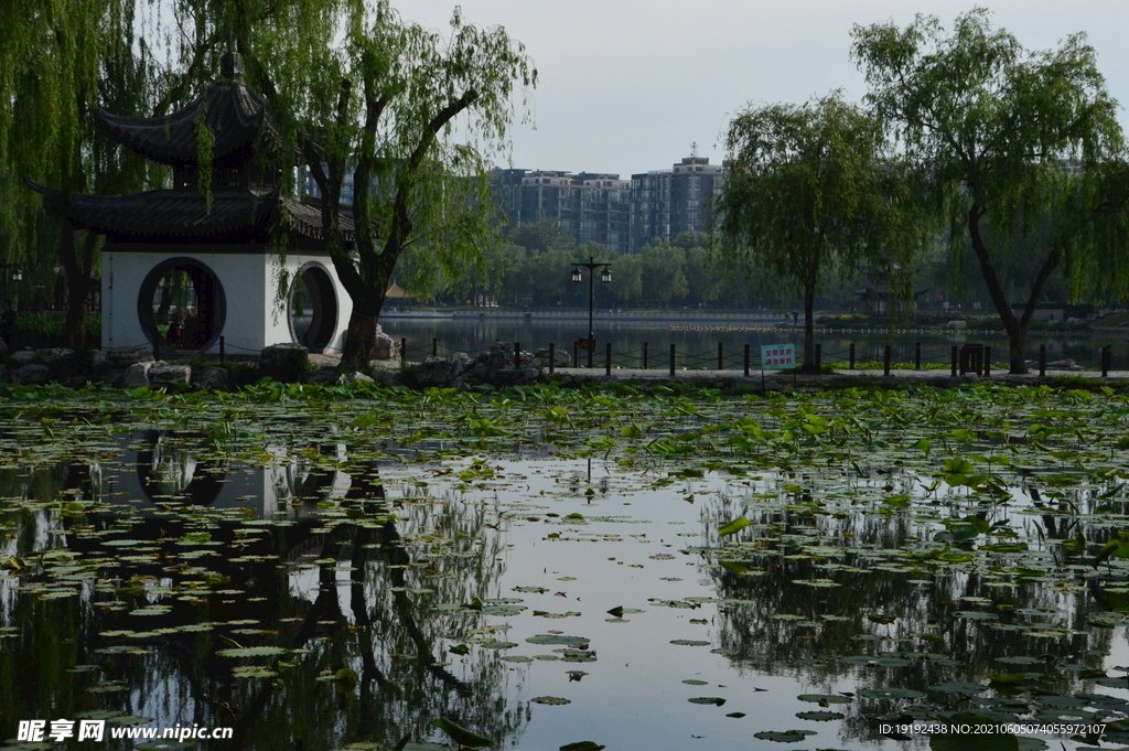 园林风景 