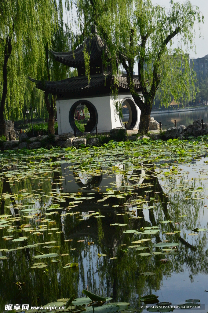园林风景 