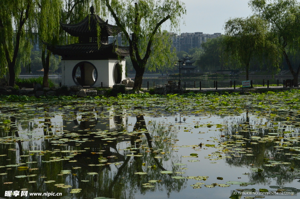 园林风景 