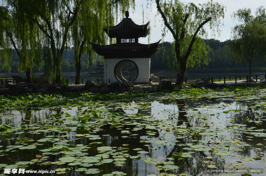 园林风景 