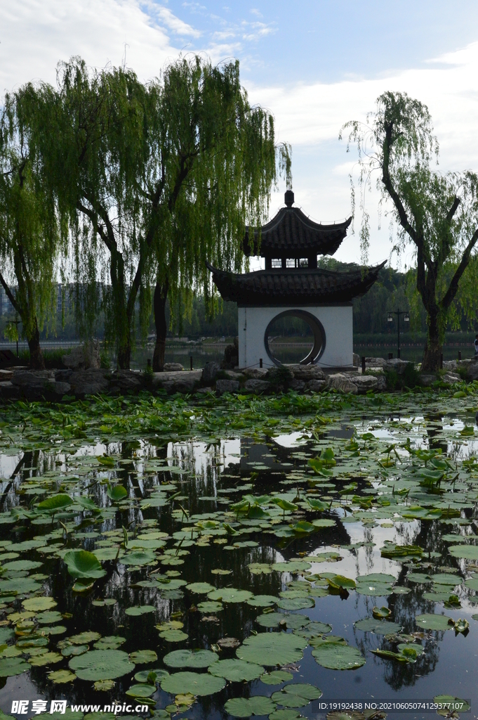 园林风景 