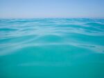 海洋
