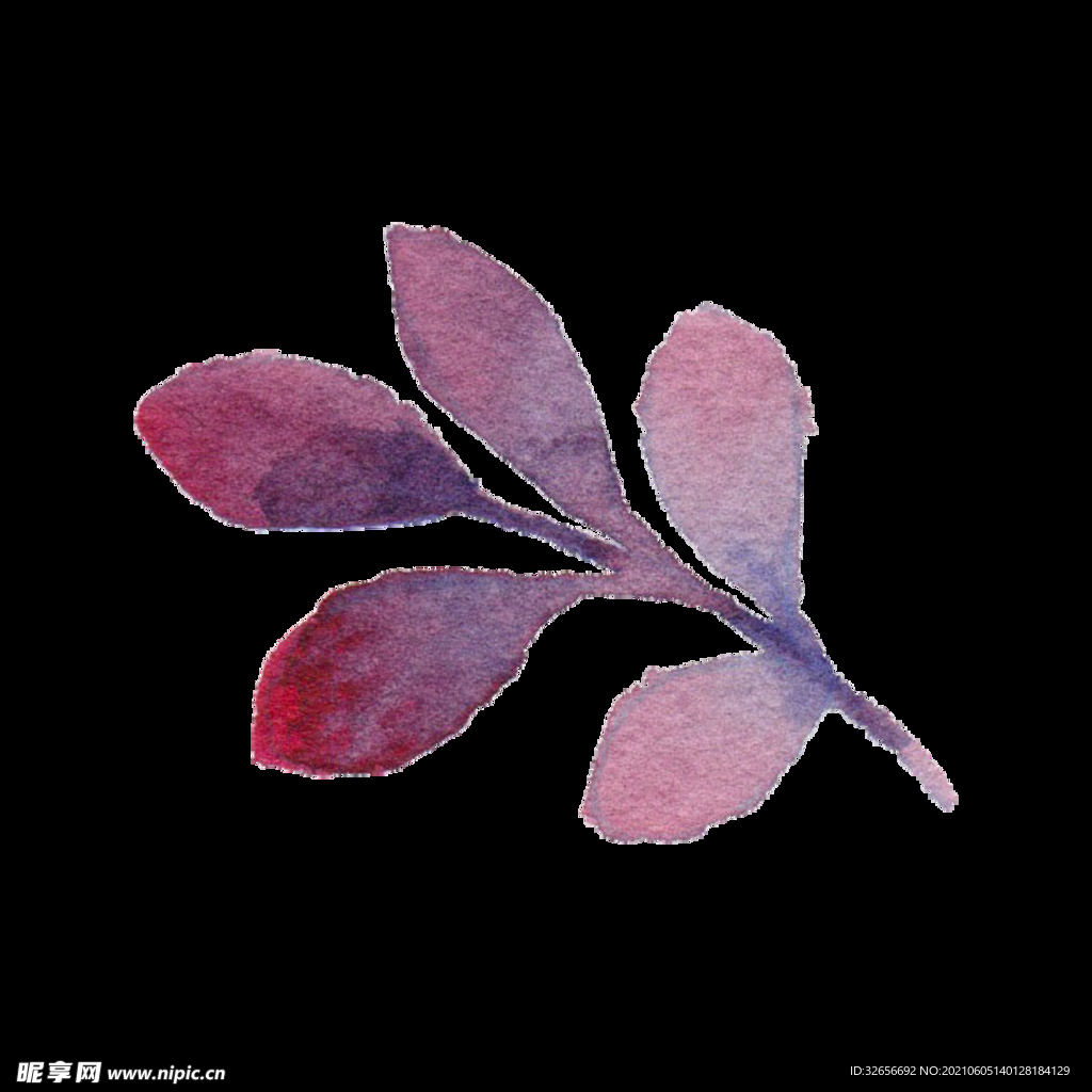 素材树叶紫色插图