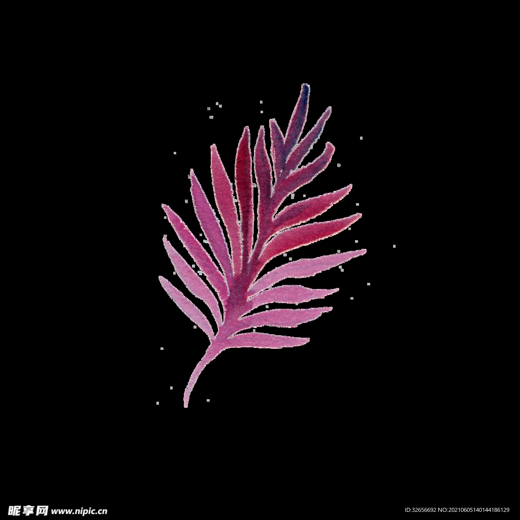 素材树叶叶子插图