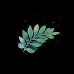 素材树叶插图