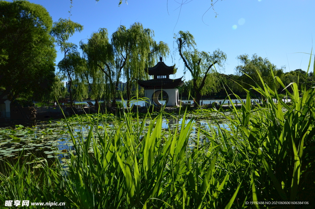 凉亭风景 