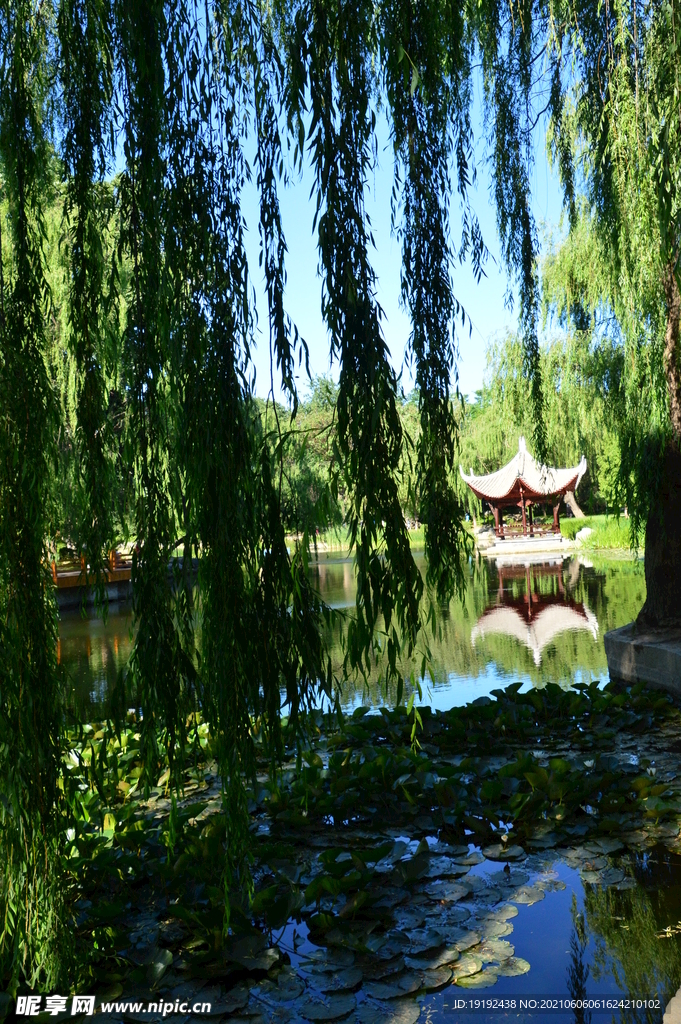 园林风景 