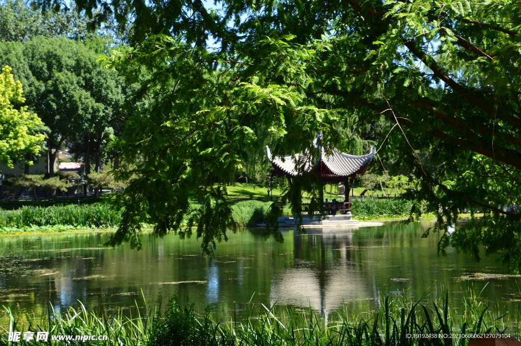 陶然亭风景