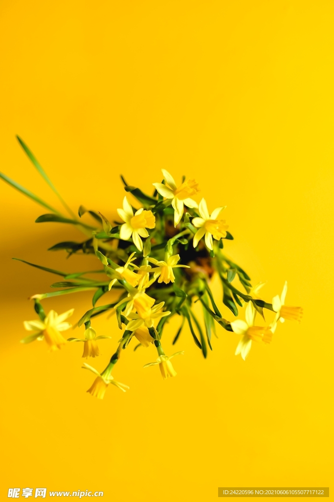 鲜花