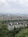 城市