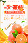 橙子海报