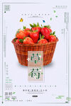 草莓海报
