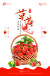 草莓海报