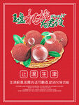 杨梅海报