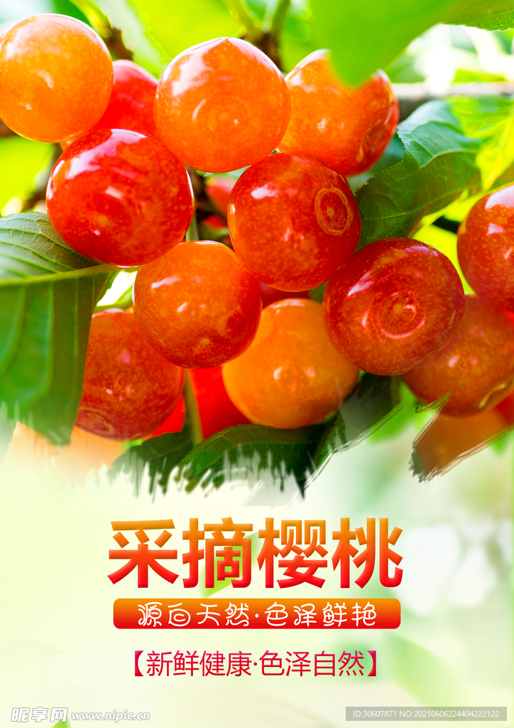 樱桃海报