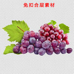 葡萄
