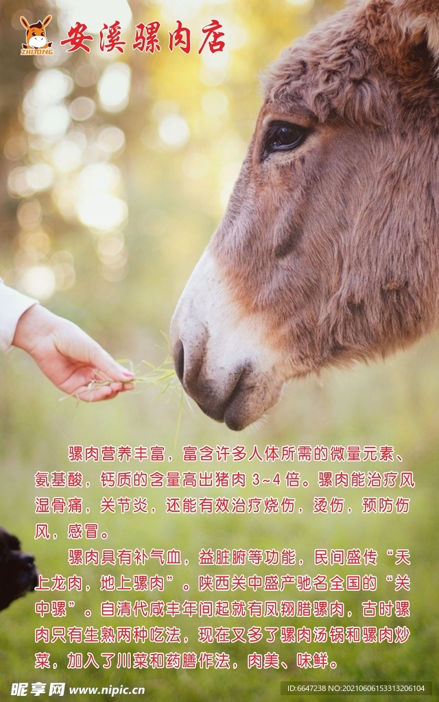 骡肉简介