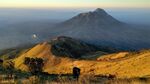 火山             