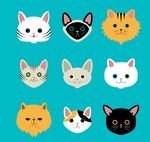 卡通猫咪头像
