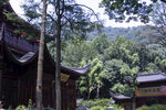 灵隐寺风光