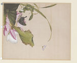 花鸟 