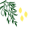 柠檬手绘