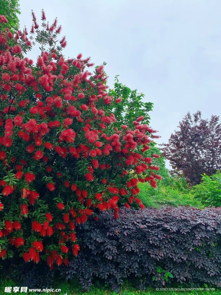 花花世界