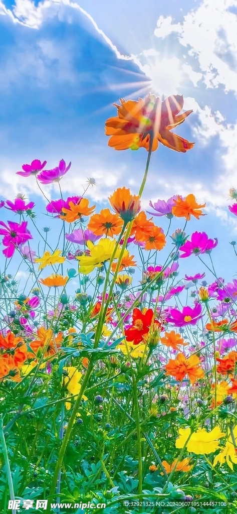 花花世界