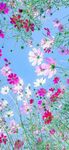 花花世界