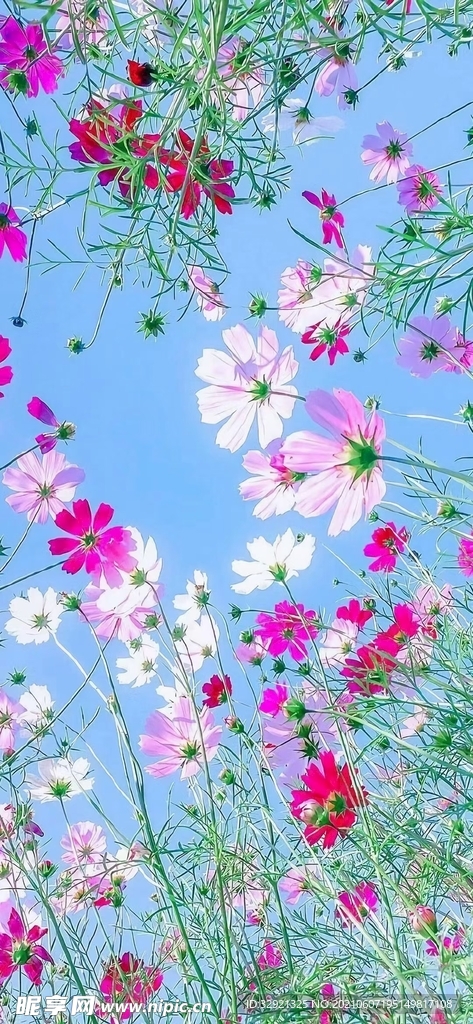 花花世界