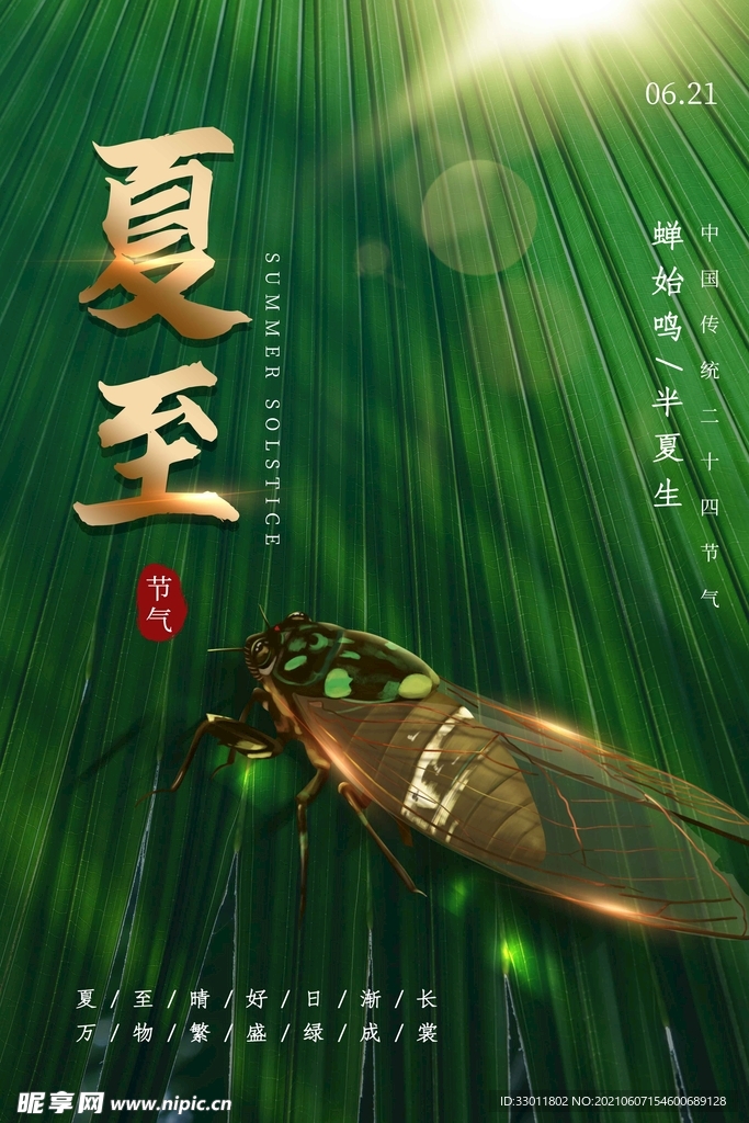 夏至节气传统活动宣传海报素材