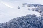 冬季雪景 