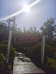 园林