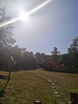 公园