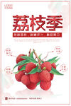 荔枝海报