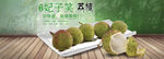 荔枝海报