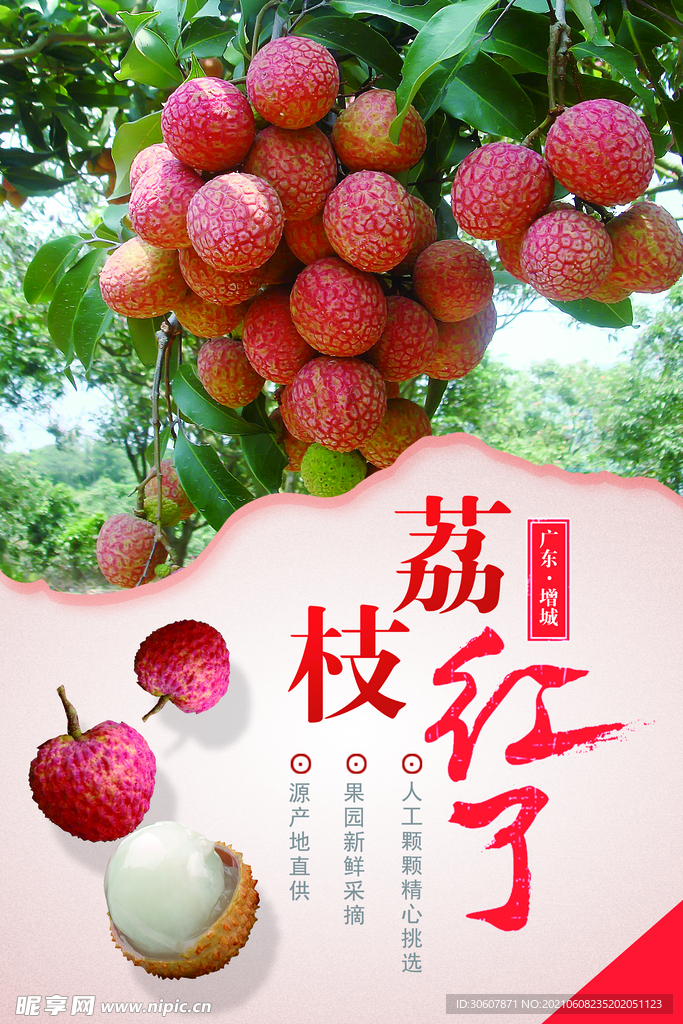 荔枝海报