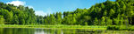 背景banner 风景图