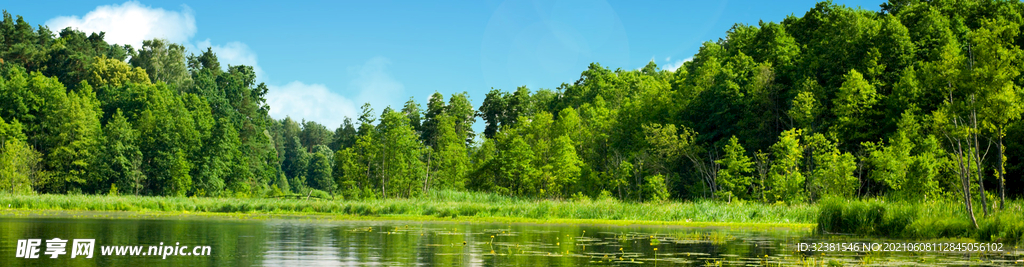 背景banner 风景图